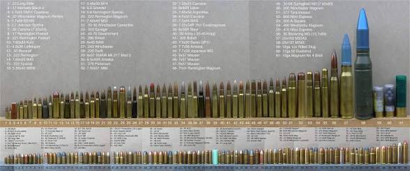 [Image: Bullet.jpeg]