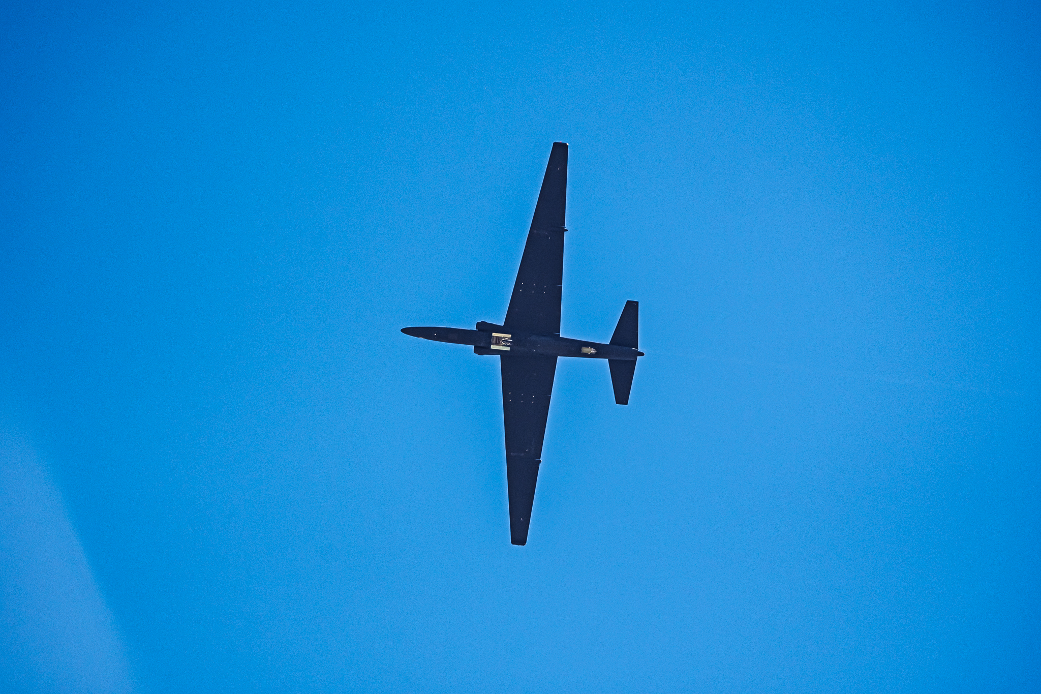 [Image: DSC_0113.jpg]