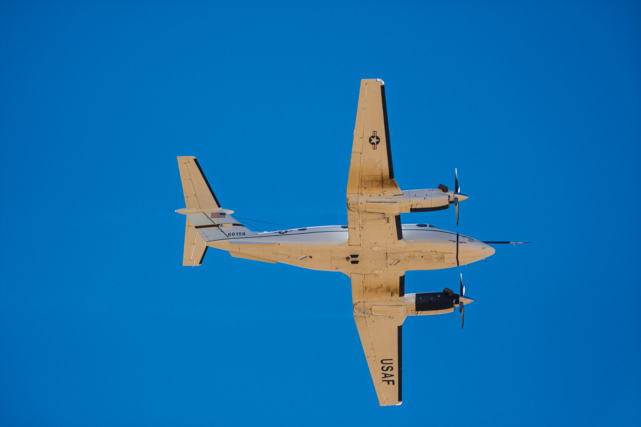 [Image: DSC_0263.jpg]