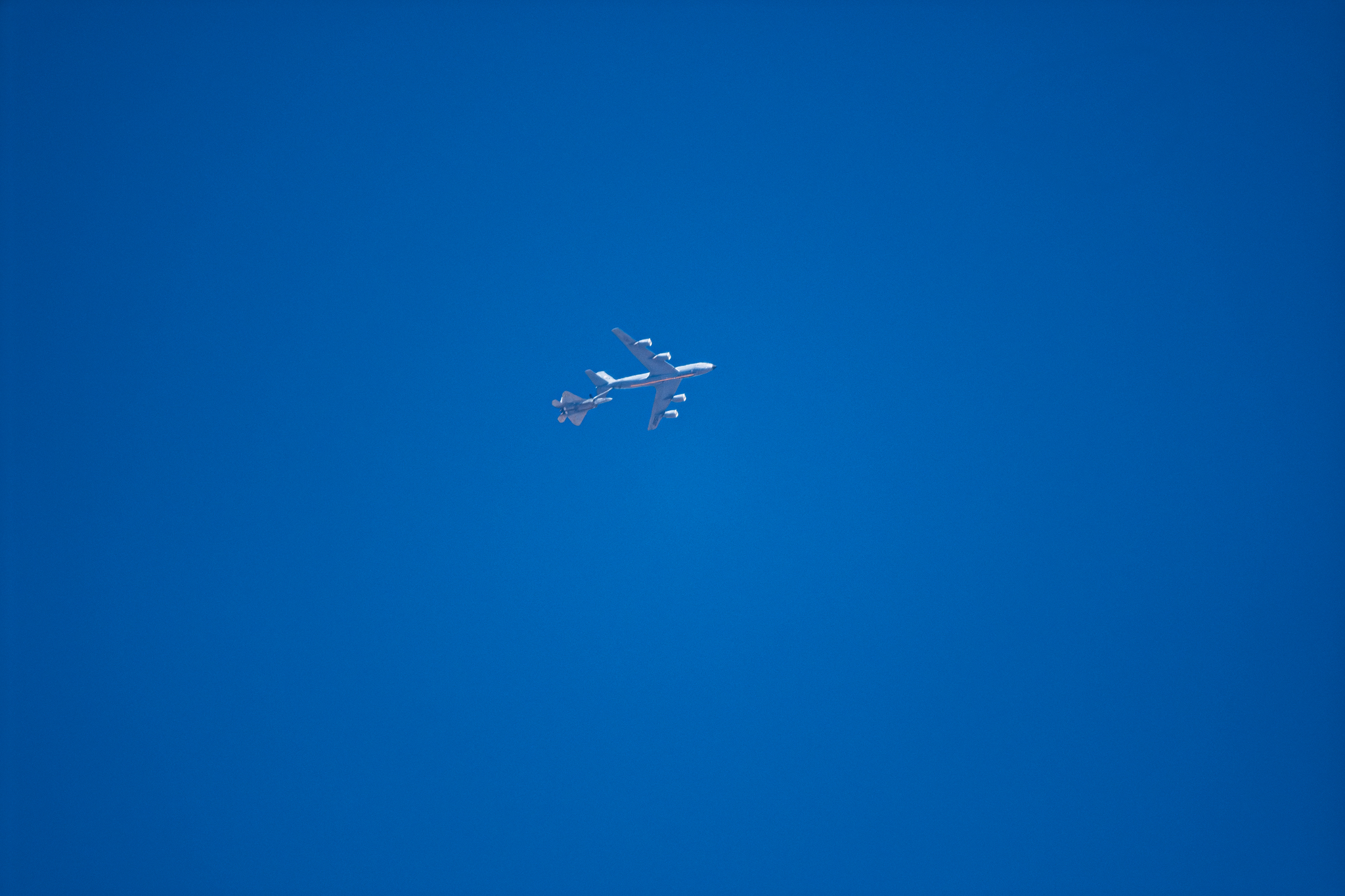 [Image: DSC_1690.jpg]
