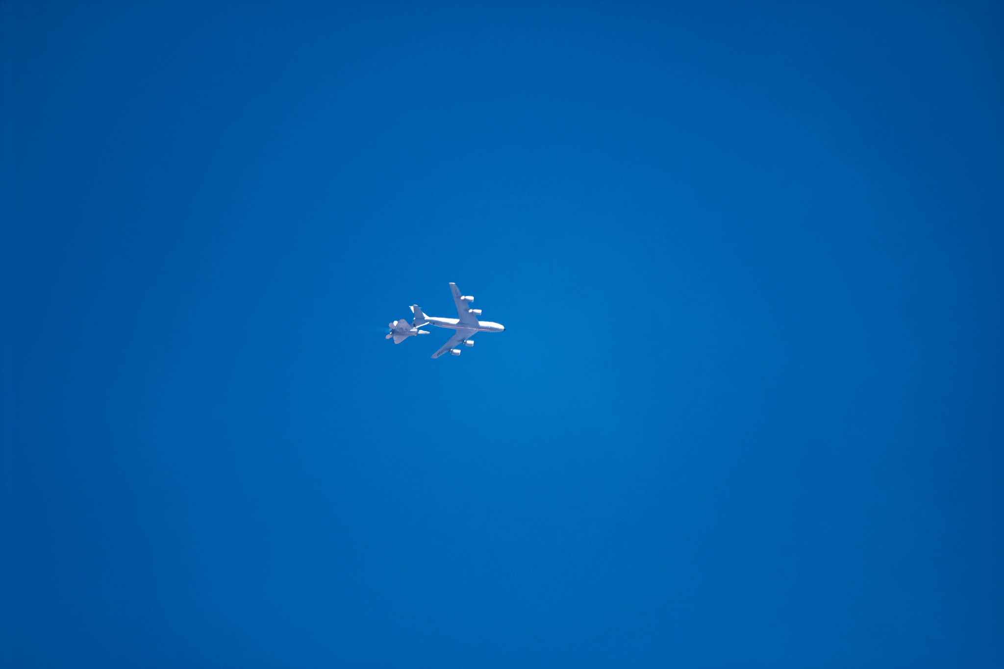 [Image: DSC_1846.jpg]