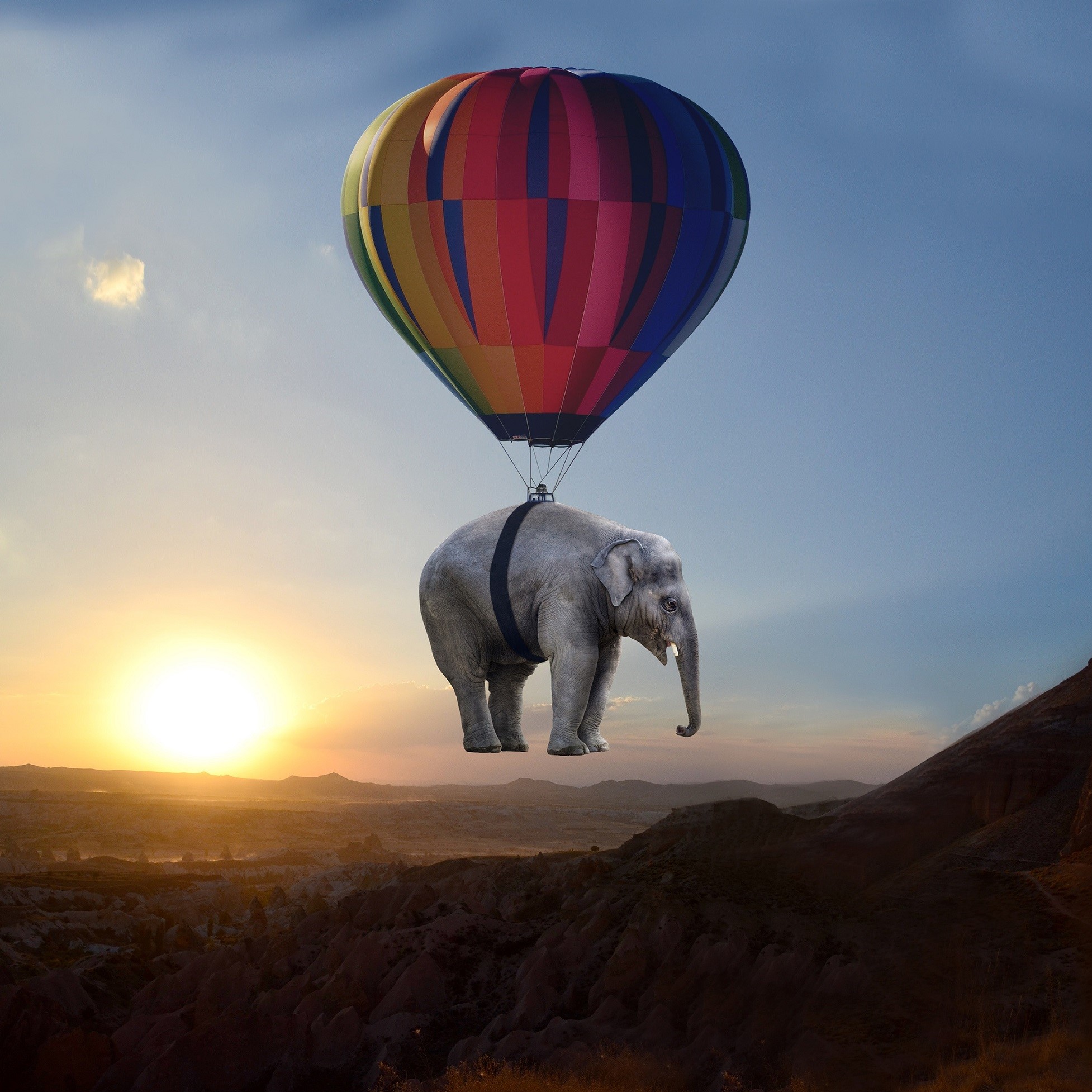 [Image: Elephant-Balloon-894137027.jpg]