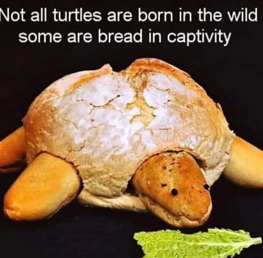 [Image: FVyAA7eWYAQYVi7.jpeg]