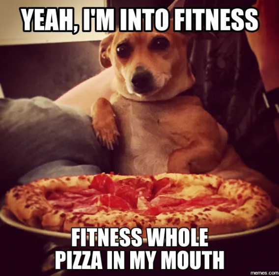 [Image: Fitness%20Dog.jpg]