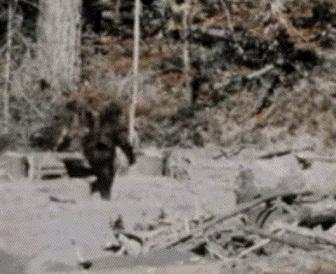 [Image: GIF_0319317031.gif]