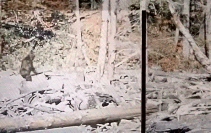[Image: GIF_0677761574.gif]