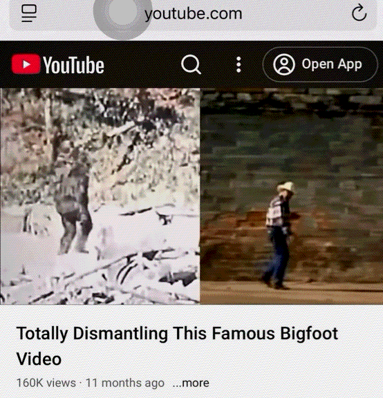 [Image: GIF_1107664588.gif]