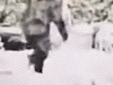 [Image: GIF_1360430383.gif]
