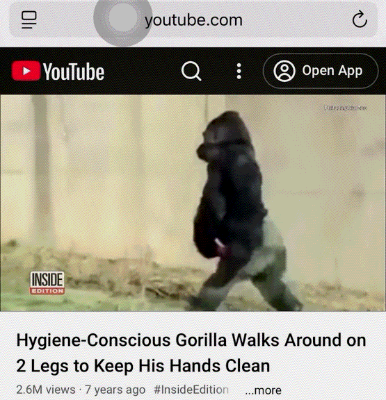 [Image: GIF_3751499910.gif]