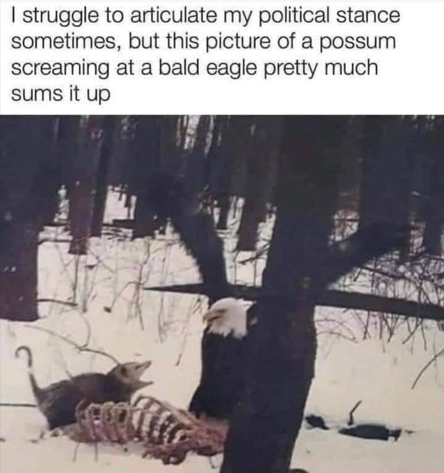 [Image: Gu9n1RYWgAAk35o.jpeg]