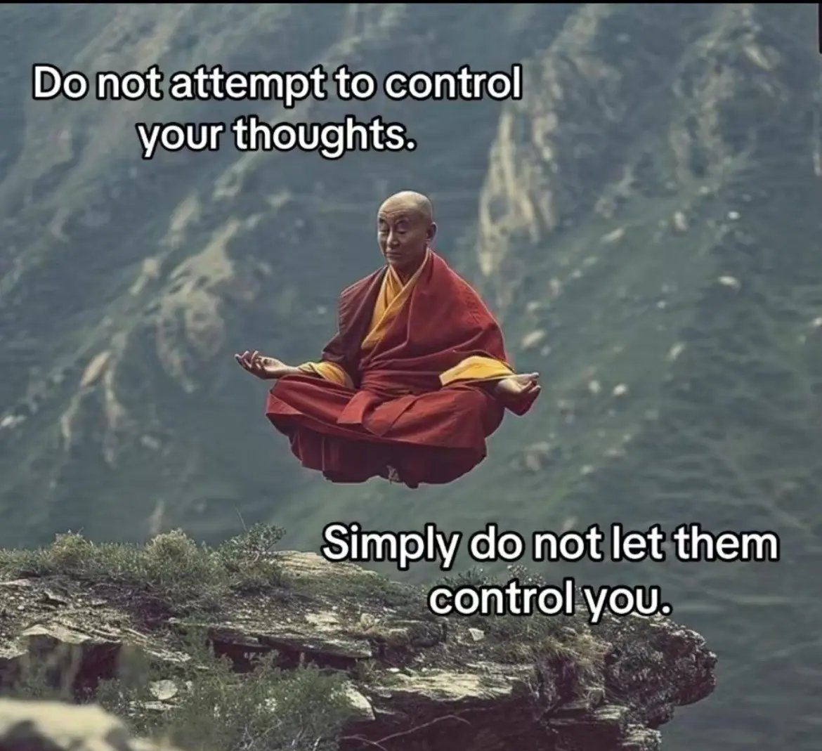 [Image: GwvWz0XXIAA3IBo.jpg]