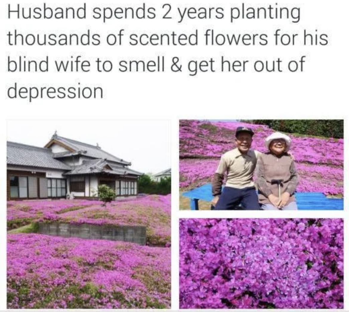 [Image: IMG_1391.jpeg]