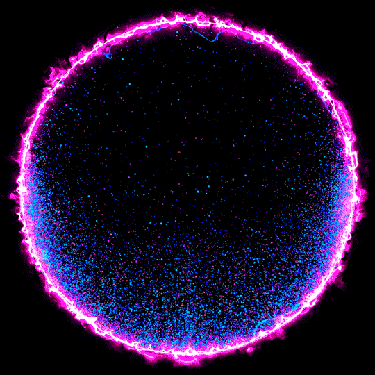 [Image: IMG_4973.gif]