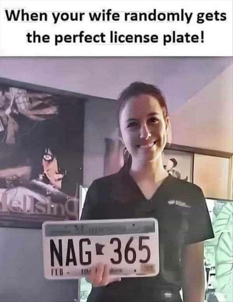 [Image: LIcense.jpeg]
