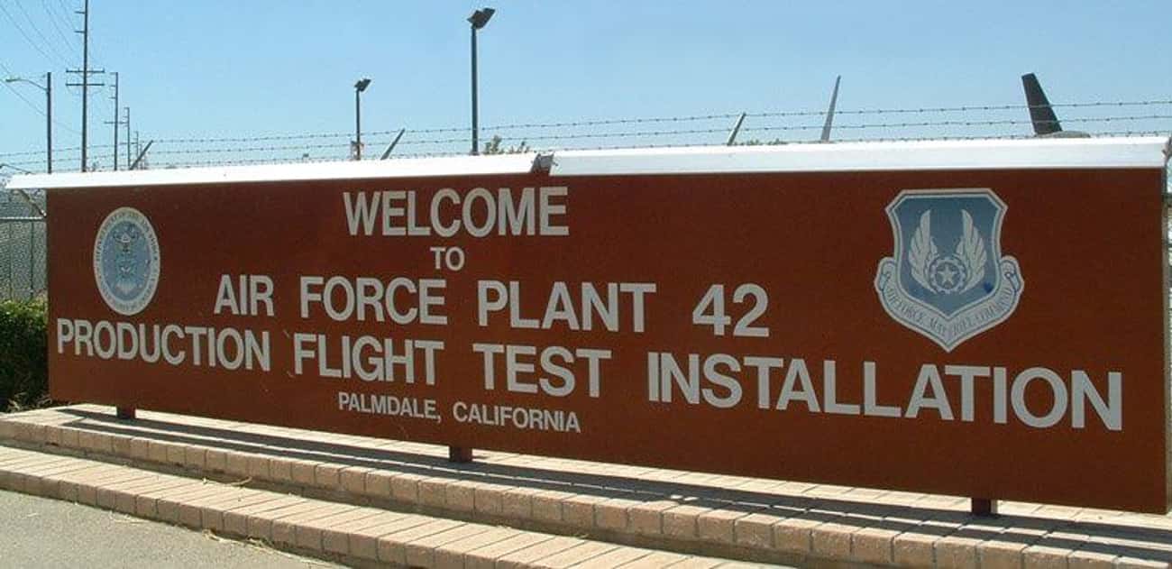 [Image: PLANT42.jpg]