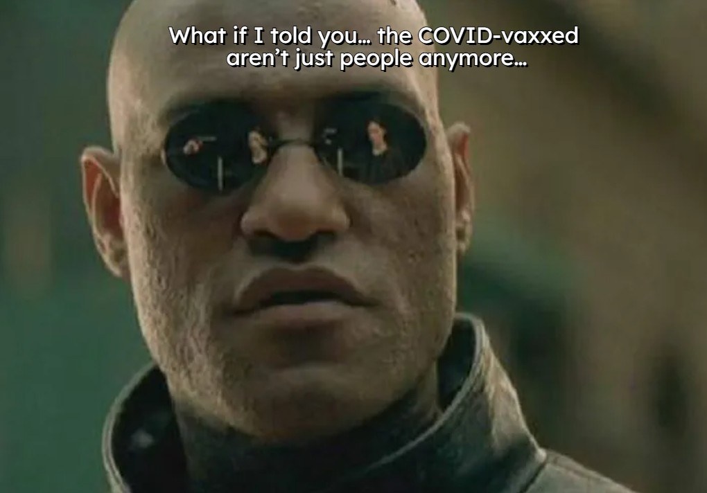 [Image: Screenshot%202025-09-22%20235224.jpg]