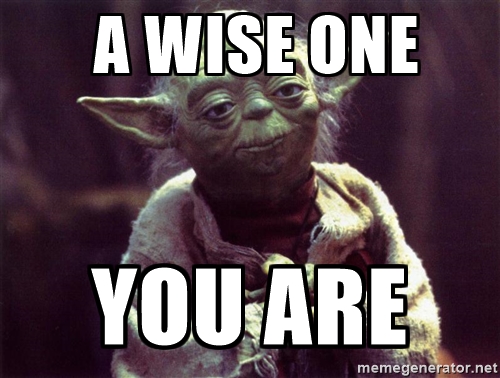 [Image: Yoda-meme-wise-one.jpg]