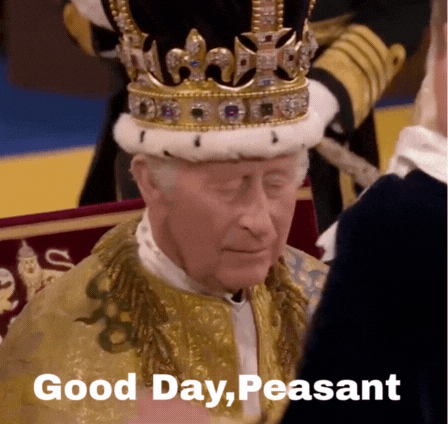 [Image: Your%20paragraph%20text%20(1).gif]
