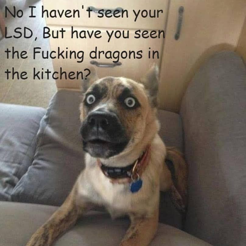 [Image: a123c825fda6bb9b7ea4ac3908a218a4.jpg]