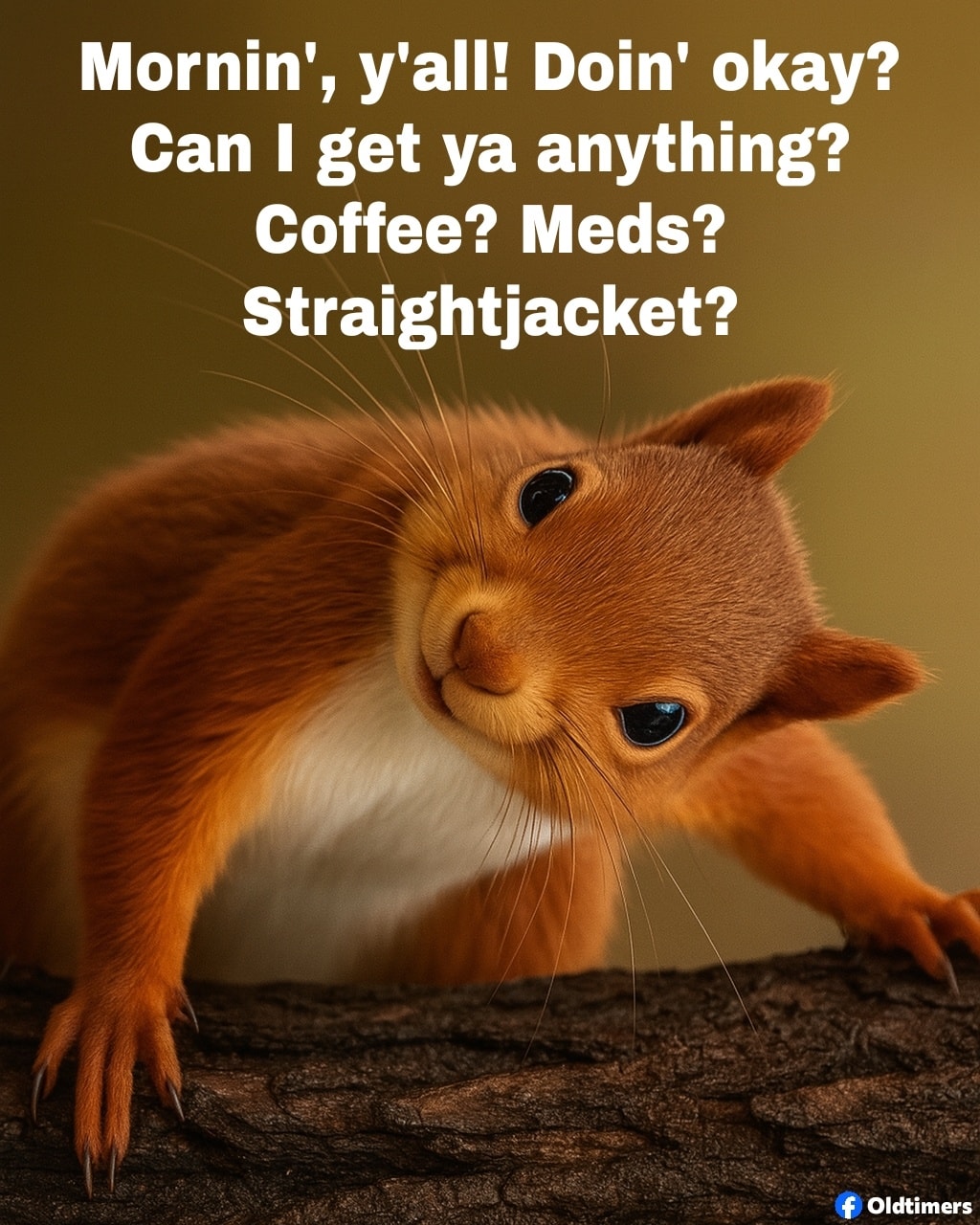 [Image: aaamedss.jpg]