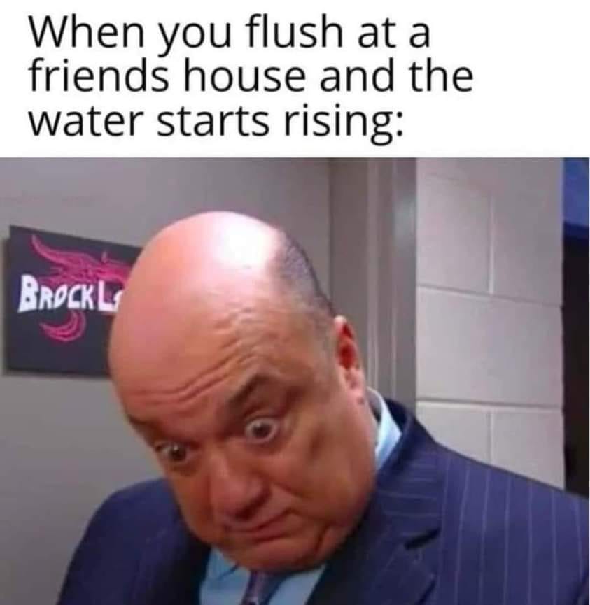 [Image: aaflushh.jpg]