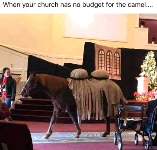 [Image: b60cf3c097c6c9a4dd10cc478173e8ba.jpg]