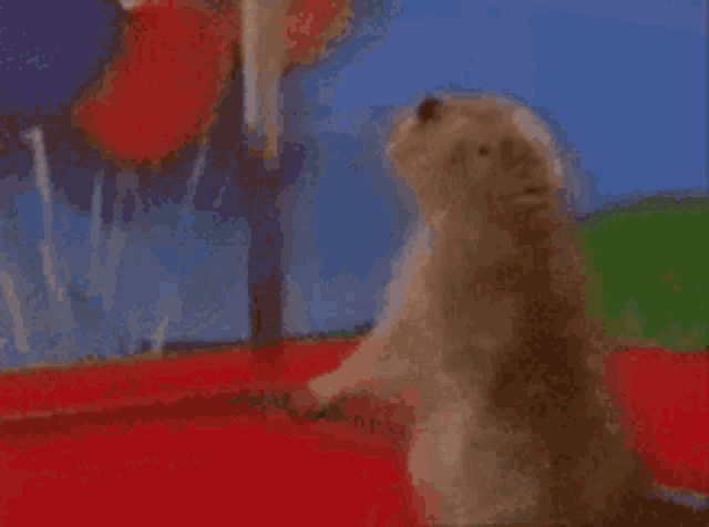 [Image: b7d813b01ee0397614eb70e27f72f529.gif]