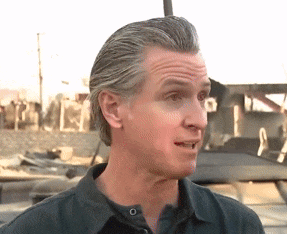 [Image: bd2cefac789e124bc10fed73b628c7c8.gif]