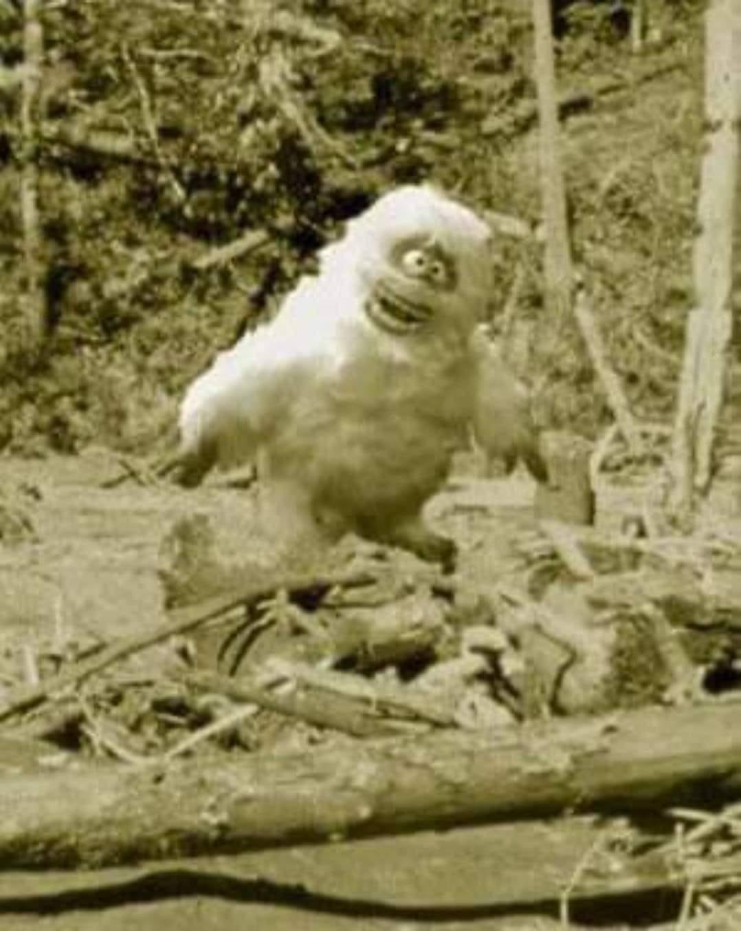 [Image: bigfoot.jpg]