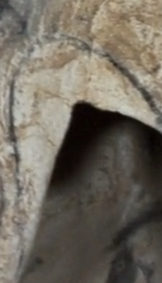 [Image: c1000b8abcb7fe52273ee957e501205d.png]