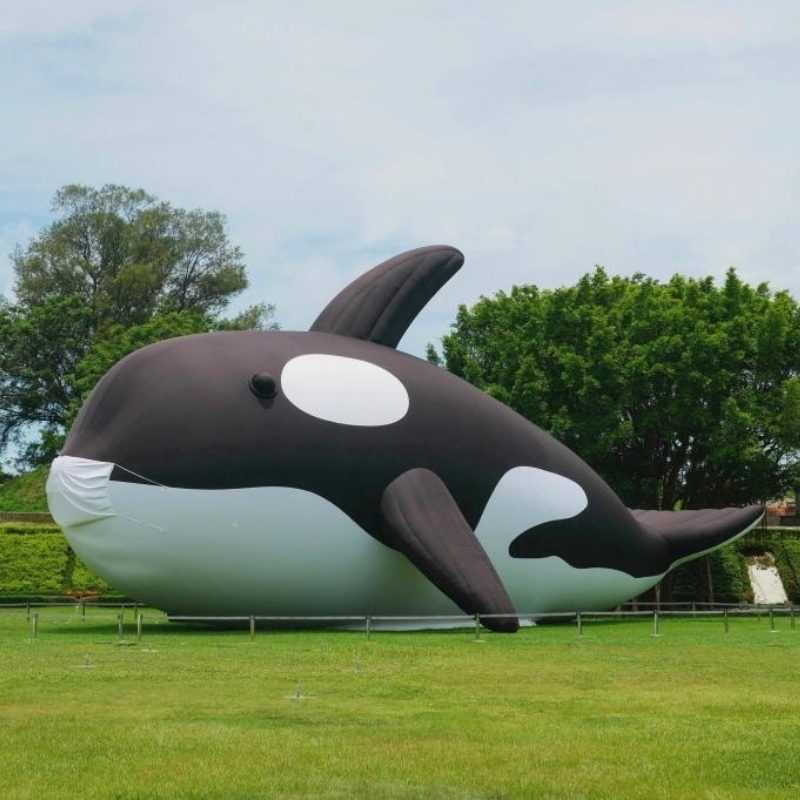 [Image: c69f850ba4457b5bf95f27b3036cda7a.jpg]