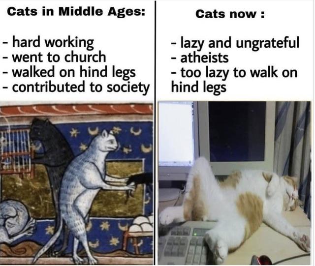 [Image: cat-fallen-from-grace.jpg]