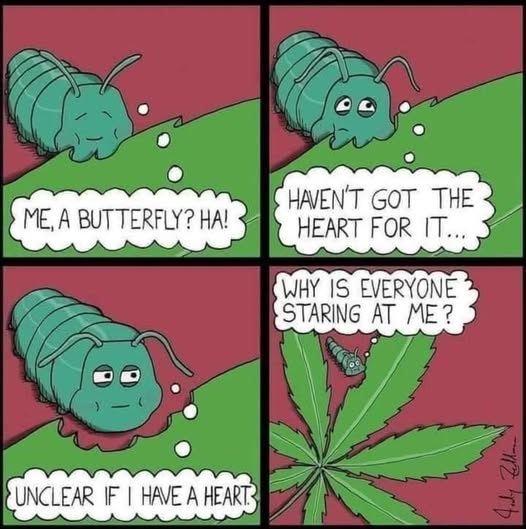 [Image: caterpillar.jpg]