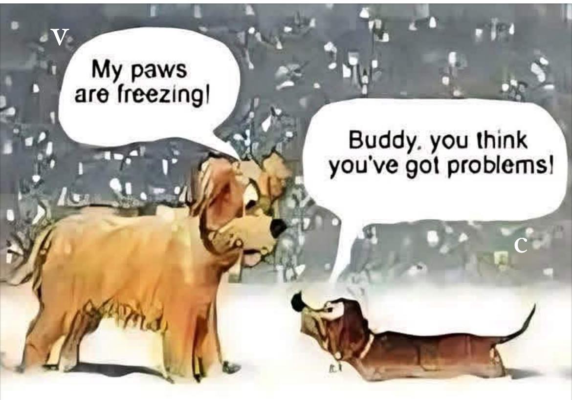 [Image: coldweenie.jpg]
