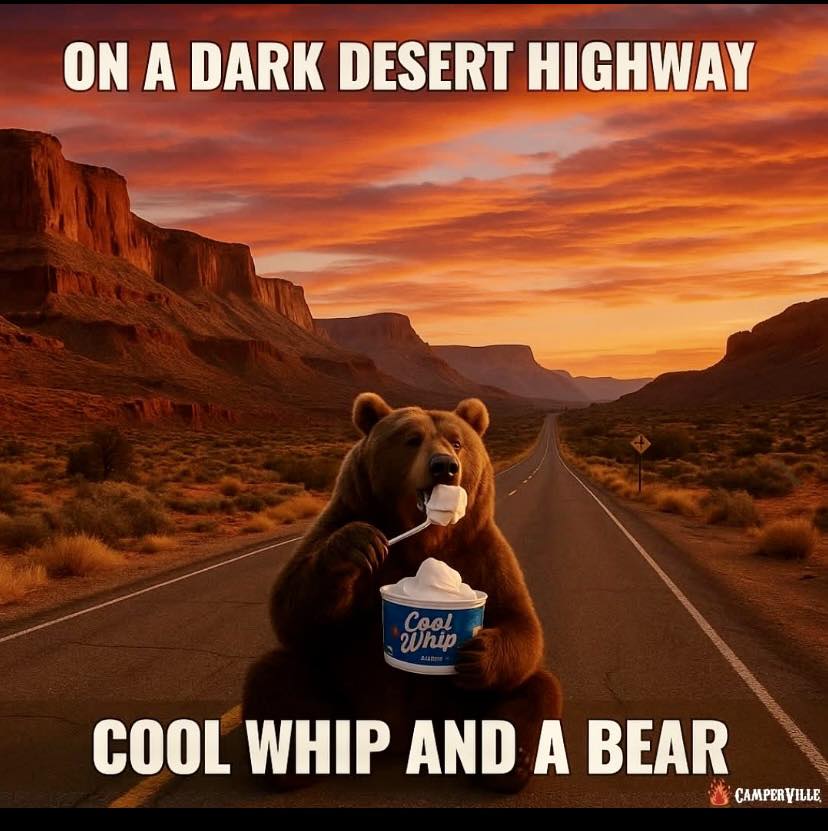 [Image: coolbear.jpg]