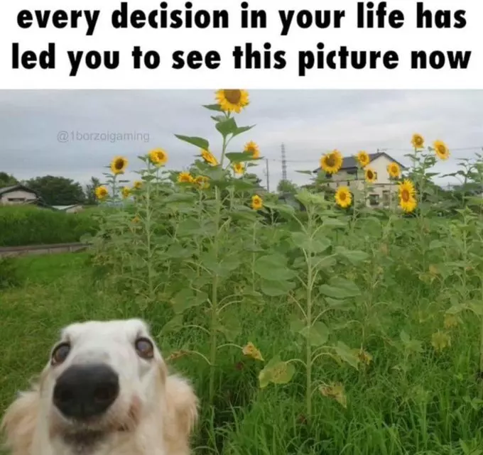 [Image: d4d4fb64e3373a03a6692805e05745c7.webp]