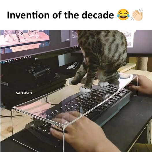 [Image: dfa0162f6f04b552e3aa2c79e034ca6d.jpg]