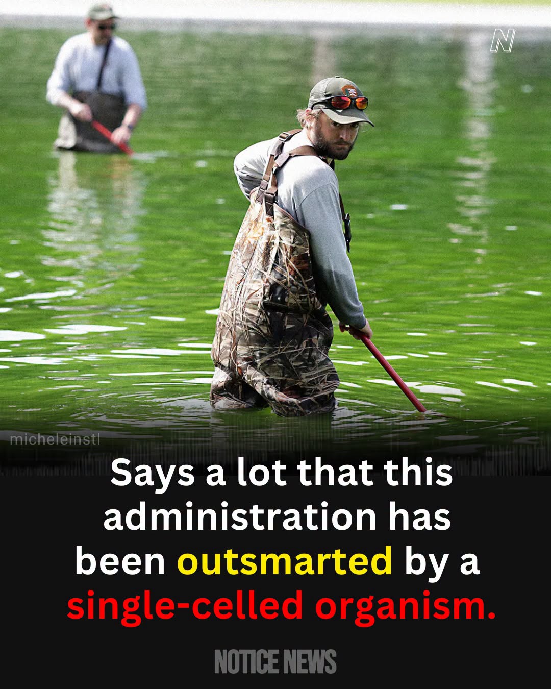 [Image: ef0d8036b4d48e555f499b3d210c75ad.jpg]