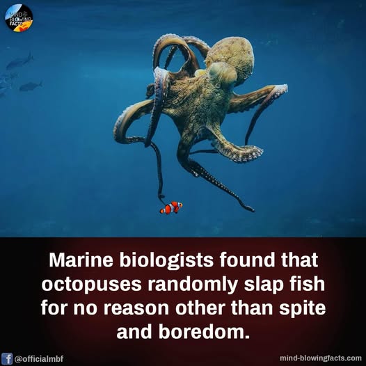 [Image: efb5a3c4b48745a32e003940cd55377c.jpg]