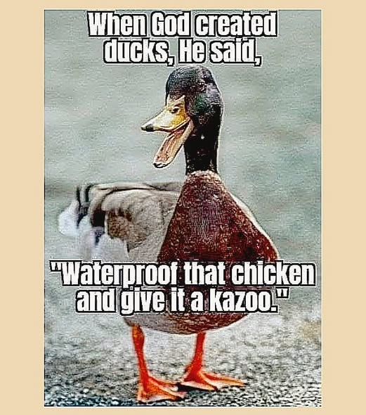 [Image: f26fed353f571ec38e96f7b934f43ad1.jpg]