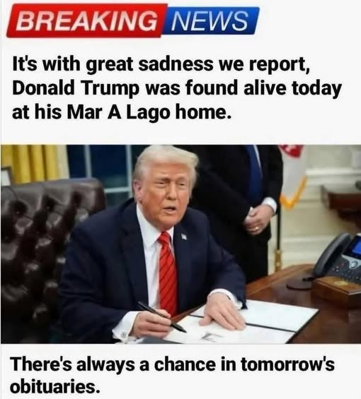 [Image: f39ea226702609c8fe0ec93f0949e8c0.jpg]