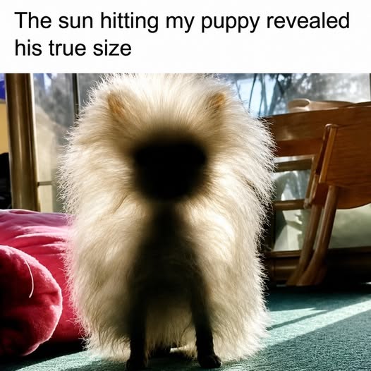 [Image: f5cb502627d5675f88574797e99e266a.jpg]