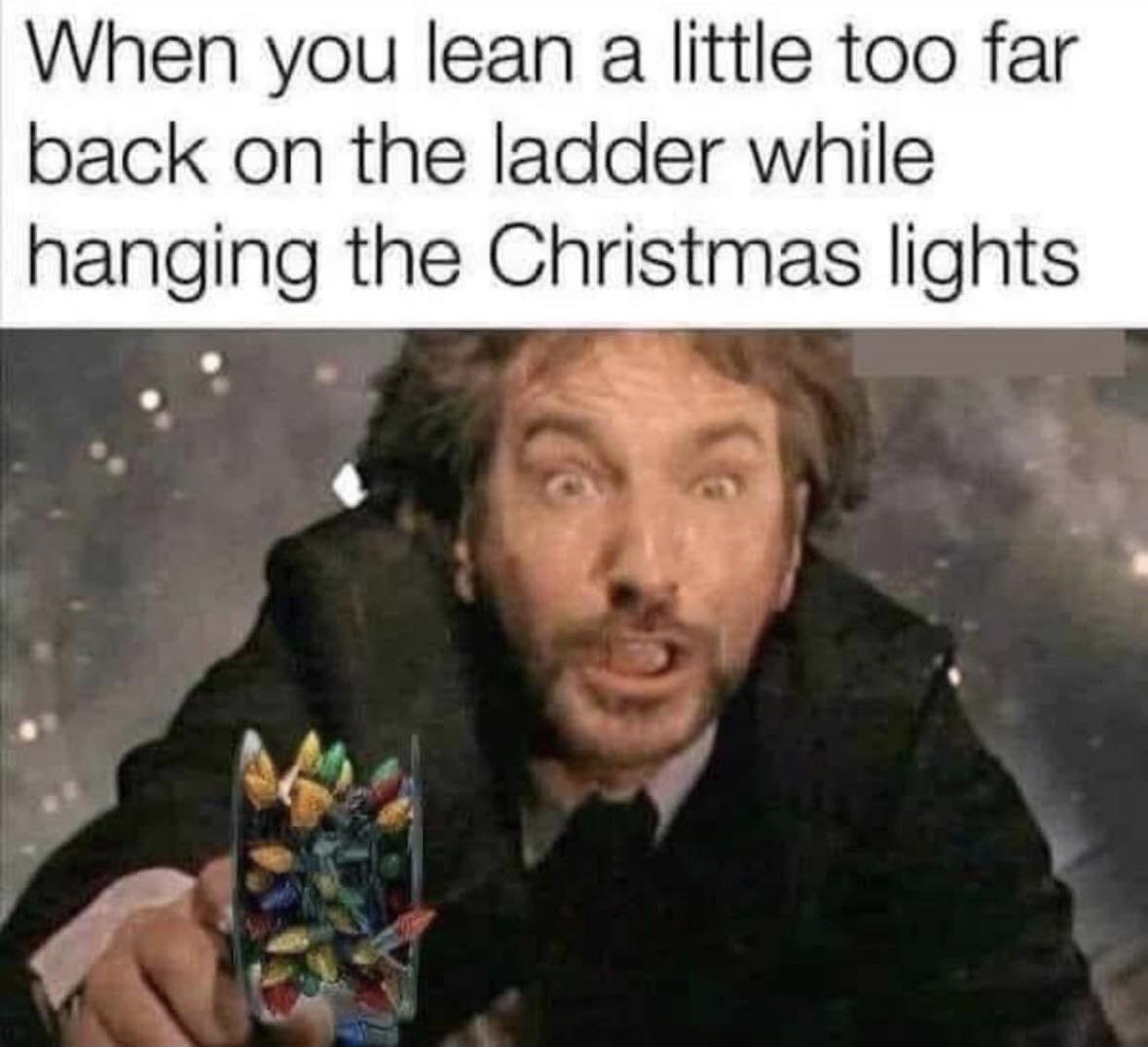 [Image: f60859831272922ff3de395181aa0c9f.jpg]
