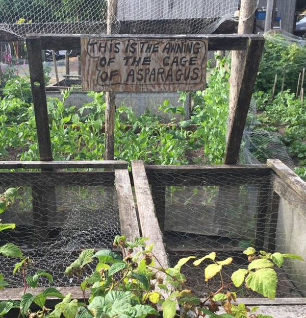 [Image: fa681cb39344b602.jpeg]