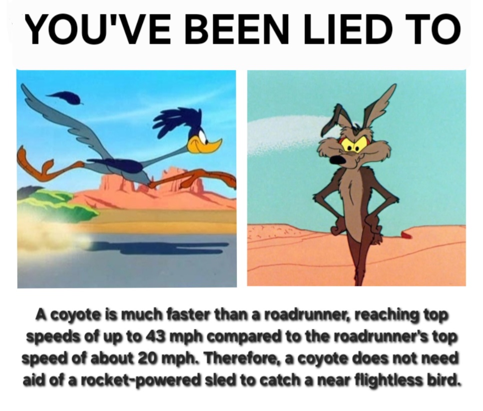 [Image: ff7cb5a82e84a2f529190f607a5424f0.jpg]