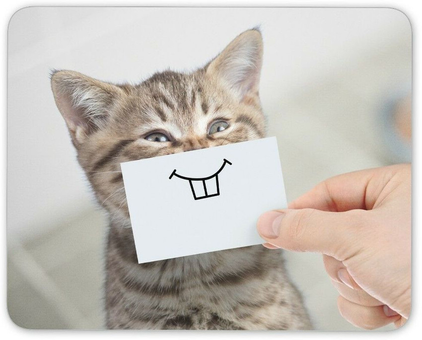[Image: funny-cute-kitten-mouse-mat-pad-office-m...19727.jpeg]