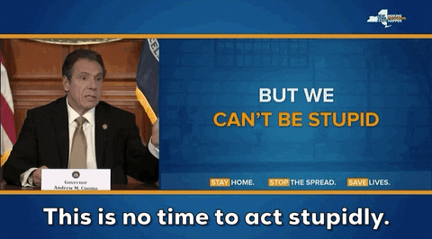 [Image: giphy-3760980261.gif]
