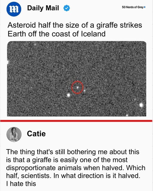 [Image: girraffe.jpg]