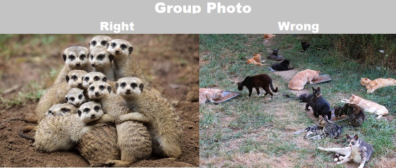[Image: group.photo.jpg]