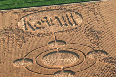 [Image: korn.jpeg]